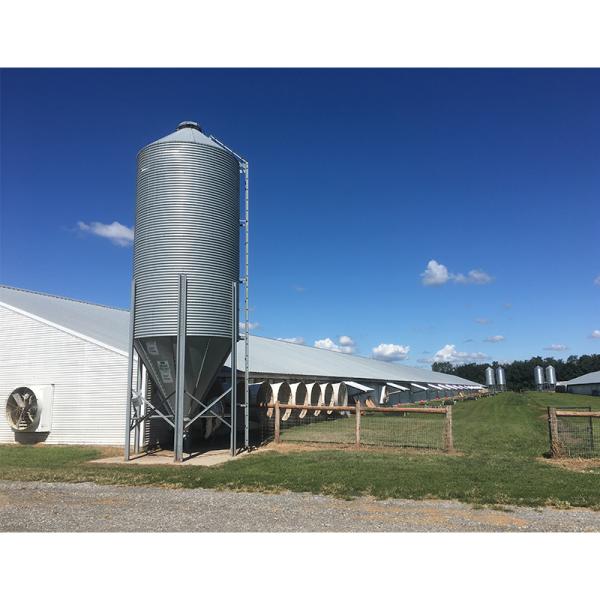 EU Standard Modern Design Galvanized Prefab Steel Farm Chicken House Building