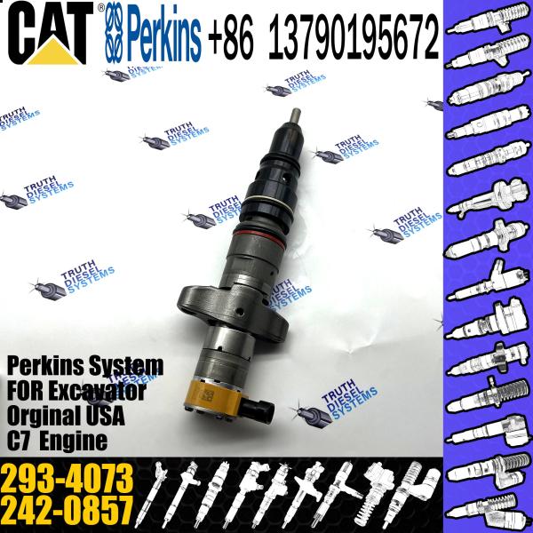 Diesel Engine Perkins Diesel Injector 293-4073 293-4073 Cat C9 Injector 324D 325D