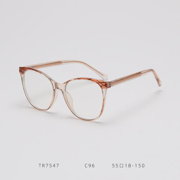 Exquisite TR Frames Glasses Optical Eyewear Anti Blue Light Optical Lens