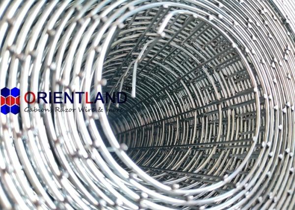 18 Gauge Gi 1/2 Square Welded Wire Mesh Width 3 Free Sample