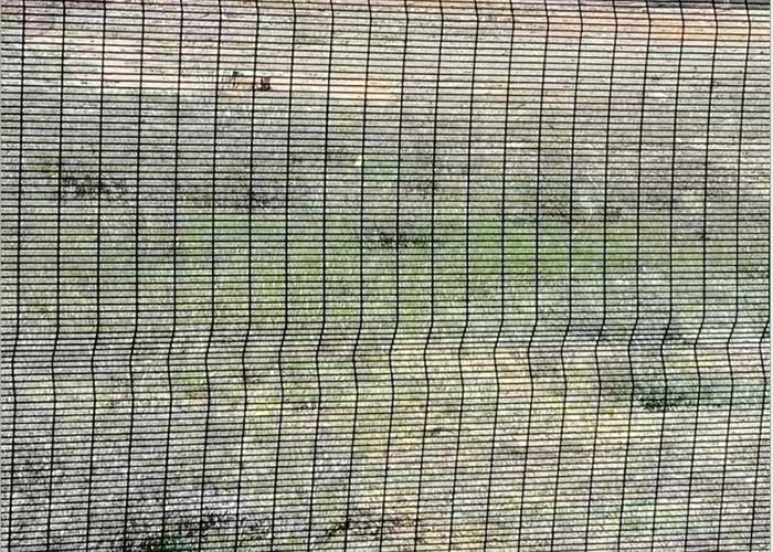 Загородка колючей проволоки тюрьмы гальванизировала ограждать безопасности подъема трубки анти-