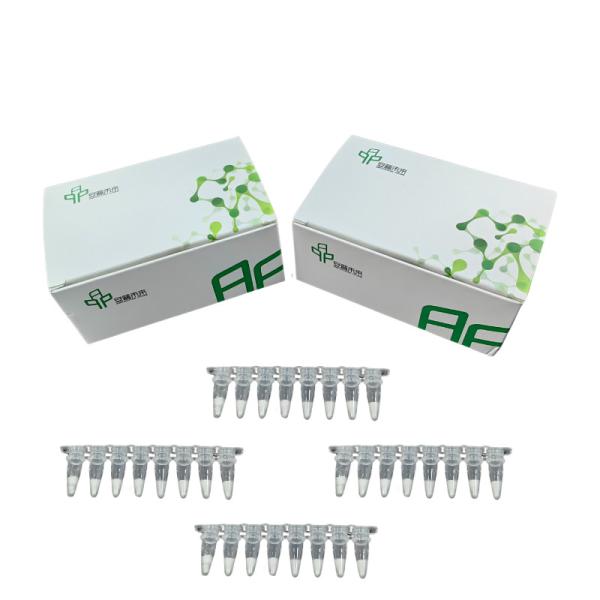 Isothermal PCR Amplification Kit Freeze Dried Reagent Metal Bath And Water Bath Pot Compatible