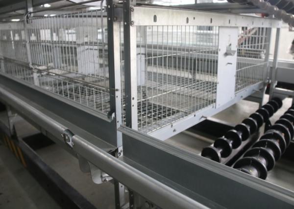 Poultry Farm A Frame Layer Cages 1200×625×480 Mm Q235 Standard Steel Material