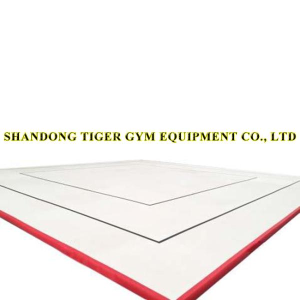 Gymnastics Equipment Gymnastics Aerobic Floor