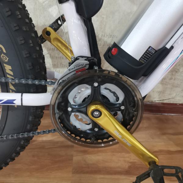 Изготовленный 26 дюймовый электрический велосипед с жирными шинами с литийным аккумулятором мощностью 48 Вт 500 Вт