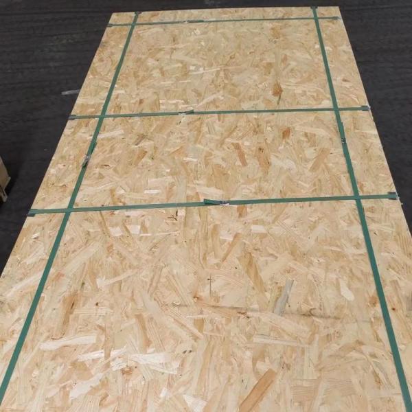 Water Resistant Osb Board Home Depot OSB3 9.5mm 11.1mm 18mm Flakeboard For Construction