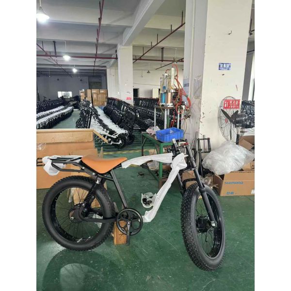 Factory Direct Fat Tire Foldable Electric Bicycle Support Retail Wholesale Customization for Adult City Commute & off-Road(V8/H9)