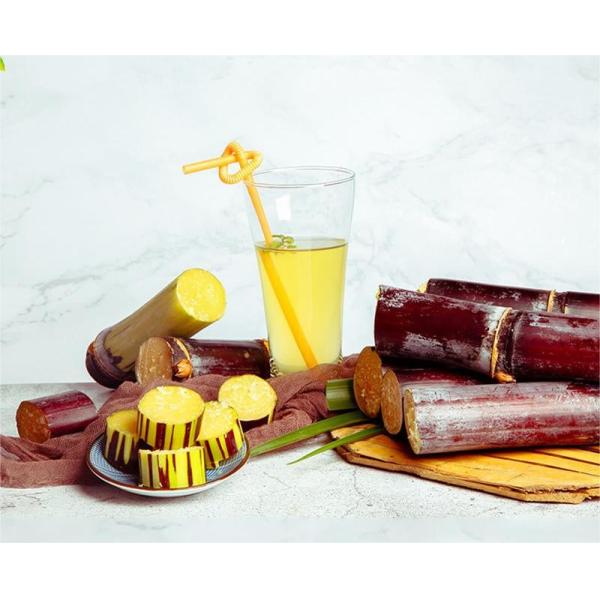 Commercial Sugarcane Juicer Machiner 100 - 150kg Per Hour