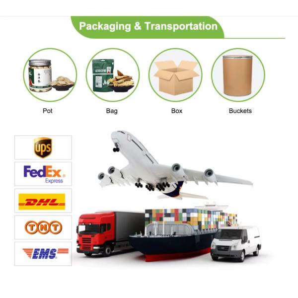 Nido de Pájaro Comestible con Colágeno para Belleza y Salud