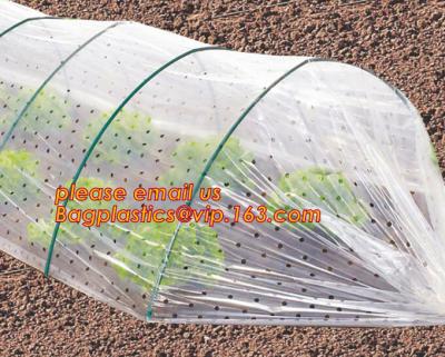 Transparent Low Tunnel Film Perforated For Culture Of Seedling Maturing Vegetables perforated red plastic mulch