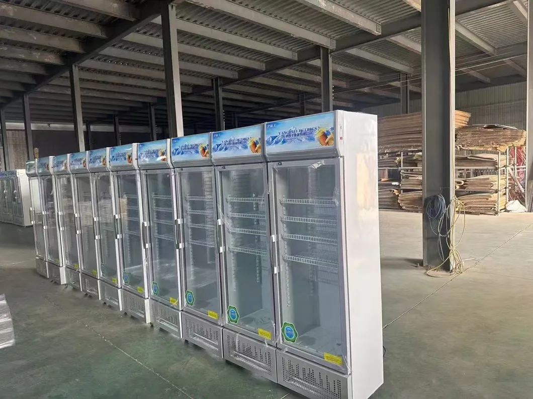 Commercial Double Door Refrigerator Beer Beverage Glass Upright Refrigerated Display Showcase