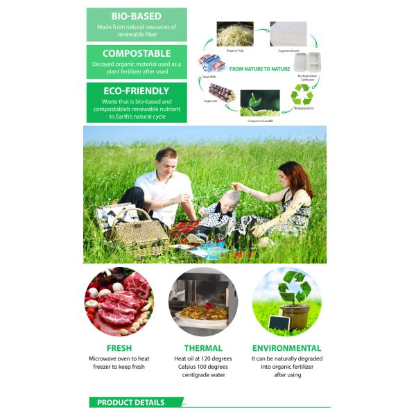 Bolsa de papel kraft desechable compostable caja para llevar