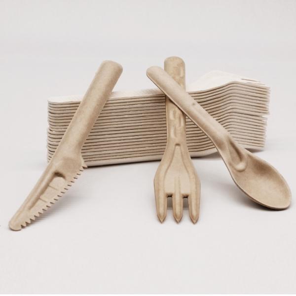 Biodegradable Bagasse Eco Friendly Disposable Cutlery 141.7mm Compostable Forks And Spoons
