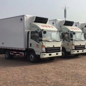 холодильник тележки коробки тележки HOWO 4X2 коробки замораживателя 15t
