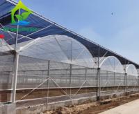 Multi comprimento do filme 20m 100m do PO da estufa das plantas do pepino do período