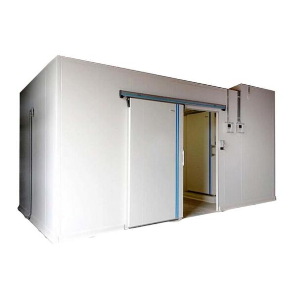 Sala de armazenamento a frio profissional para vegetais, frutas, carnes e peixes com refrigeração por água ou ar
