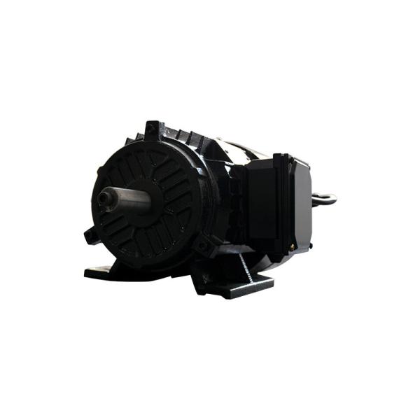 1500 - 3000rpm Rare Earth Permanent Magnet Motor For Powerful Applications