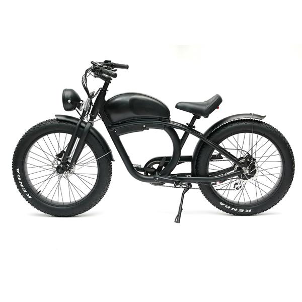 Long Range 48V 750W Rear Hub Motor Electric Motorbike with 48V 20Ah Lithium Battery