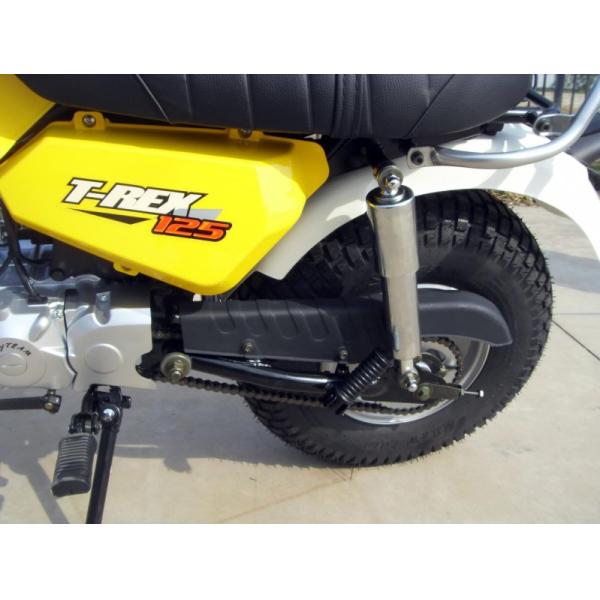 Скытеам т - велосипед 125кк мини, мотоцикл Рекс 125 2 человек с шестерней 4 скоростей