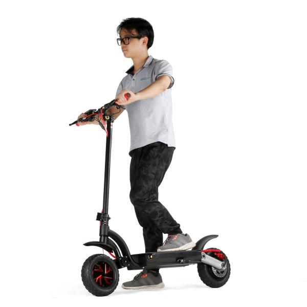 10 inch 700w dual motor 2 wheels folding electric scooter with double battery optional