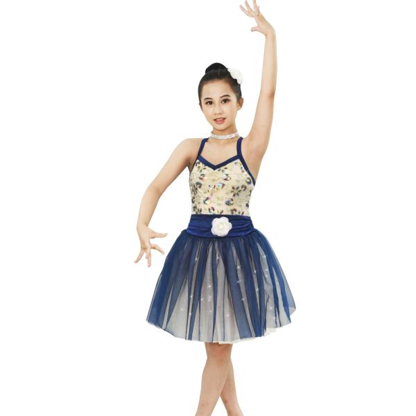 Ballet Dance Tutu Dress Competition Performance Wear Sweetheart Bodice Ballet Costume fairy princess