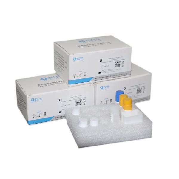 Glycometabolism Hypophyseal Hormone Test Kit IVD Products For Chemiluminescence Immunoassay Analyzer C-P INS