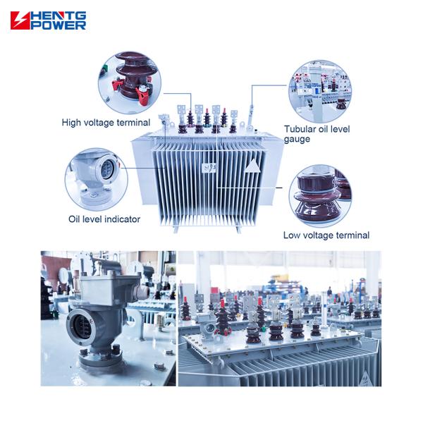 Long Service Life 1250kVA 11kV/0.4kV Oil Immersed Transformer for Commercial Building Power Supply