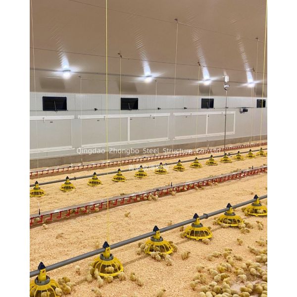 Durable Prefabricated Steel Structure Poultry House with Customizable Design and