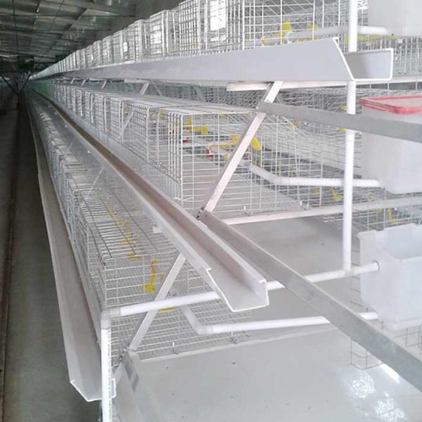 O sistema mergulhado quente da gaiola da galinha de grelha, aves domésticas de aço de Q235 High Tech prende