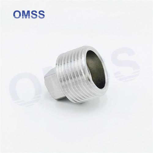 Stainless Steel Screwed Pipe Fittings 304 Square Hexagon Male Threaded Pipe Connector Plug