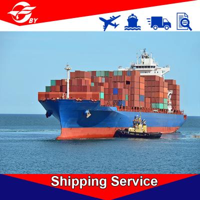 Serviços de entrega seguros de DDP, agente de transmissão Ningbo do frete a Boston New York Baltimore