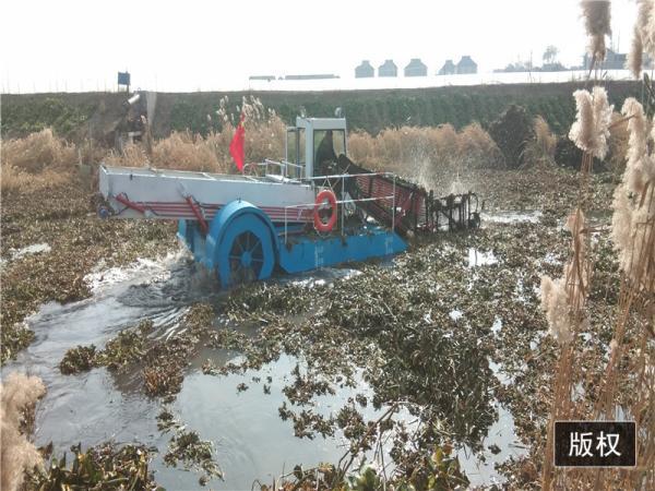 Self Propulsion 10M2 Body Pond Weed Harvester River Weed And Floating Cleaning