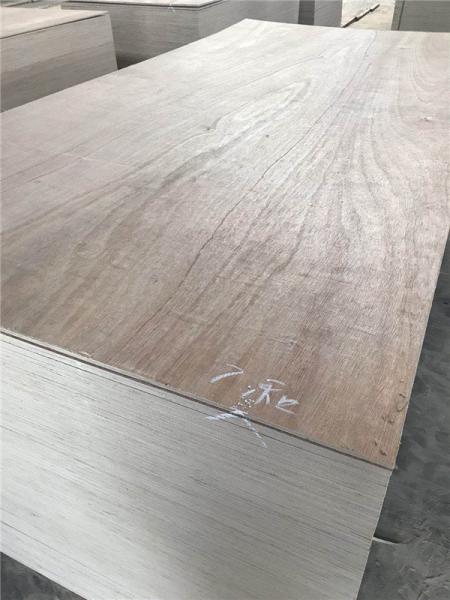 Environmentally Making Boats 20mm Marine Okoume Plywood