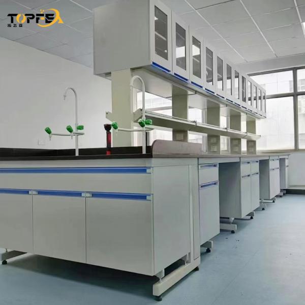 PP Material Wall-Mounted Laboratory Bench for Modern Research Facilities