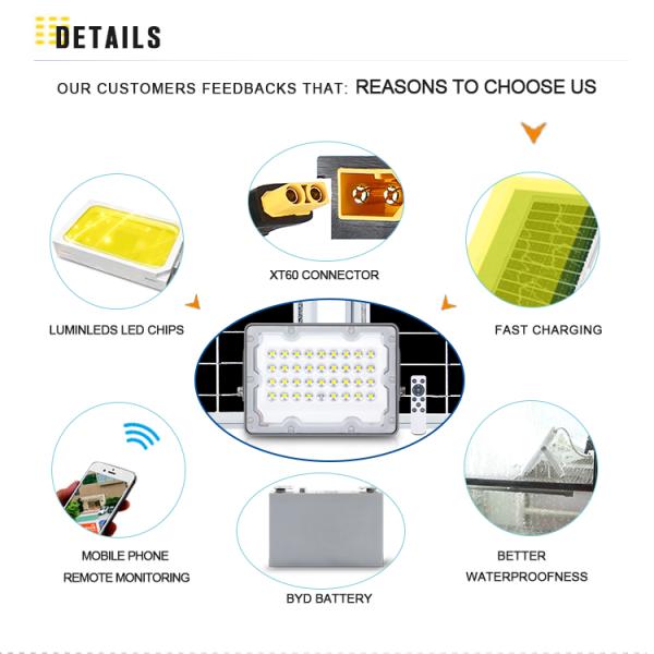Отливка Алюминий LiFePO4 Батарея дистанционного управления Внешний водонепроницаемый 100w Солнечный светодиодный светодиодный свет