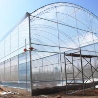 Filtro de plástico resistente a UV de túnel polido Tomate Erva Hidropônica Estufa única