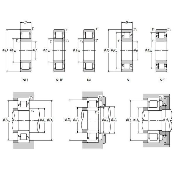 Theoretical Cylindrical Roller Bearing Single Row 35x80x21mm NJ307 EMC3 NJ 307 ECP