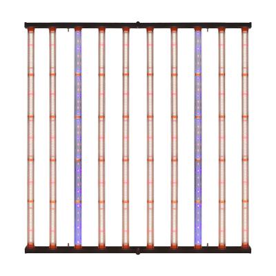 O diodo emissor de luz interno da planta 6x6 cresce as luzes 385nm UV 395nm IR 730nm 740nm