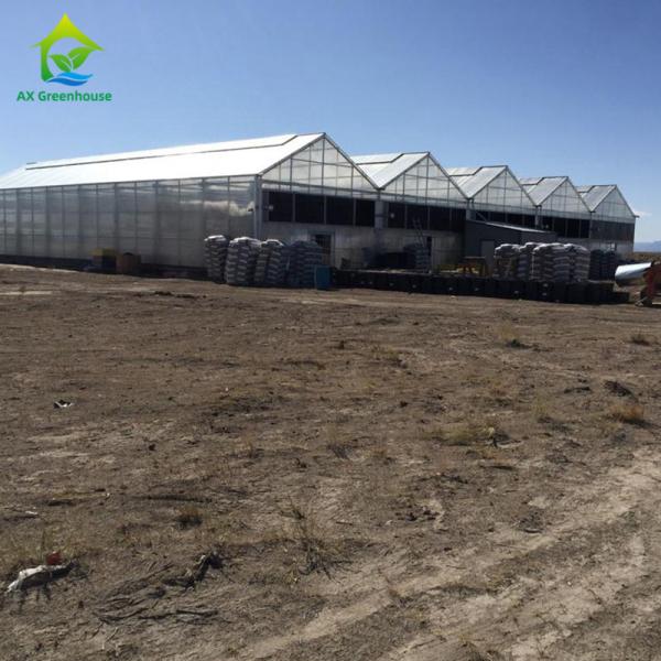 Crescimento médico das plantas da estufa comercial da privação da luz do escurecimento