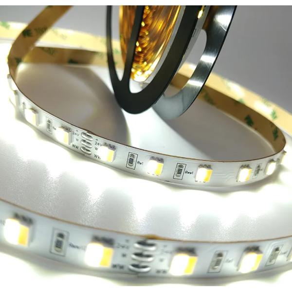 Прокладки СИД цветовой температуры DC 24V белизна CW WW регулируемой гибкая 5050 двойная