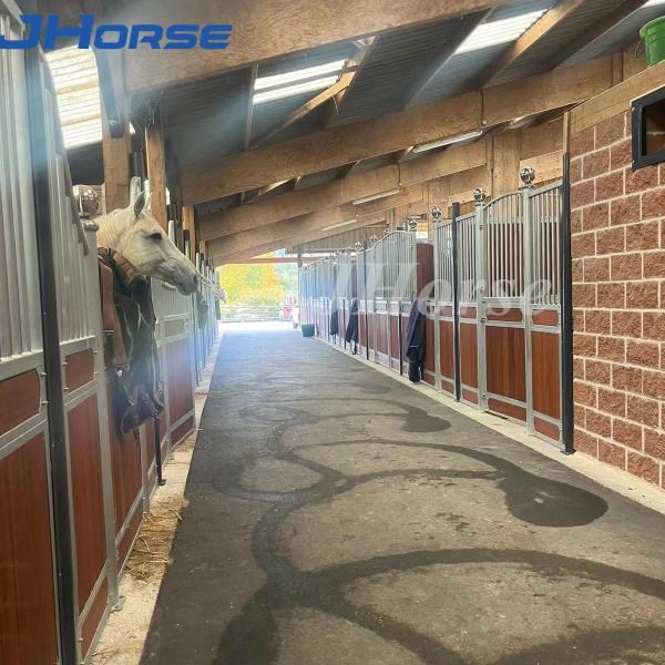 Galvanizado a quente Estaleiros de cavalos europeus Estrutura de aço leve ao ar livre