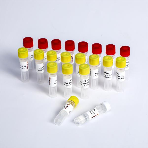 Multiplex Oligos 1 NGS Library Construction For Illumina K002-A/192 Rxns