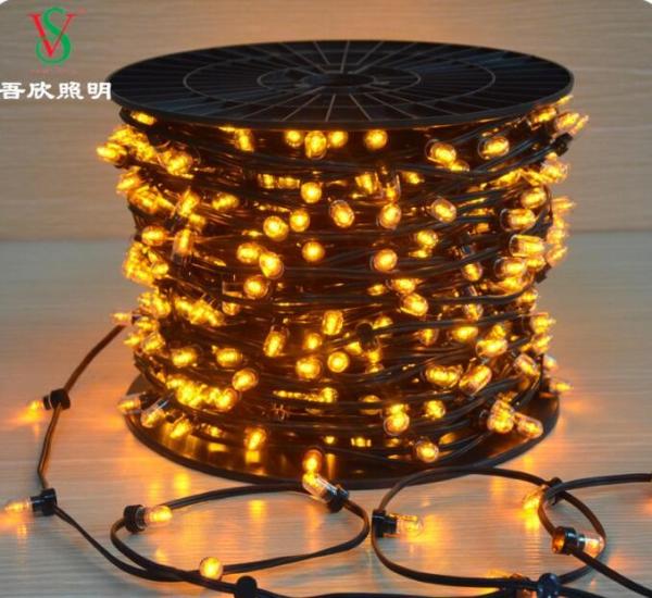 Fabricante de árvore de Natal IP65 LED Lâmpadas de cordas 12V LED Clip Light para a Austrália