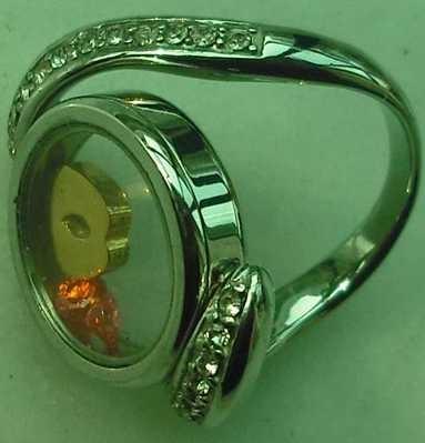 New Fashion 316L Stainless Steel Floating Charm Memory Living Locket Ring TGLR004