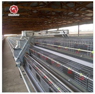 Gaiola de pássaro das aves domésticas de 3 galinhas da série 180 para a exploração agrícola de galinha grande