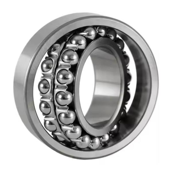 1202TNI 15*35*11mm High Performance Self-Aligining Ball Bearing Superior Ball Bearings