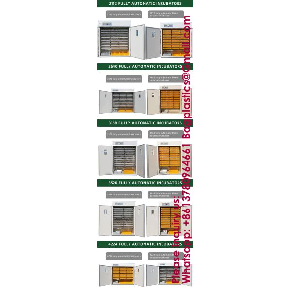 5000 Eggs Incubator Automatic Egg Fully Automatic Best Selling Poultry Egg Incubator Great Capacity Make Chicken Egg Incubator Hot Fully Intelligent Automatic Egg Hatching Machine Bird Chicken Goose
