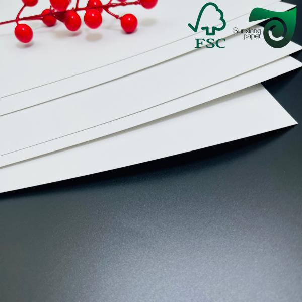 Papel blanco recubierto de una sola cara de cartón SBS de marfil 350 gm 375 gm 70 cm 100 cm FSC