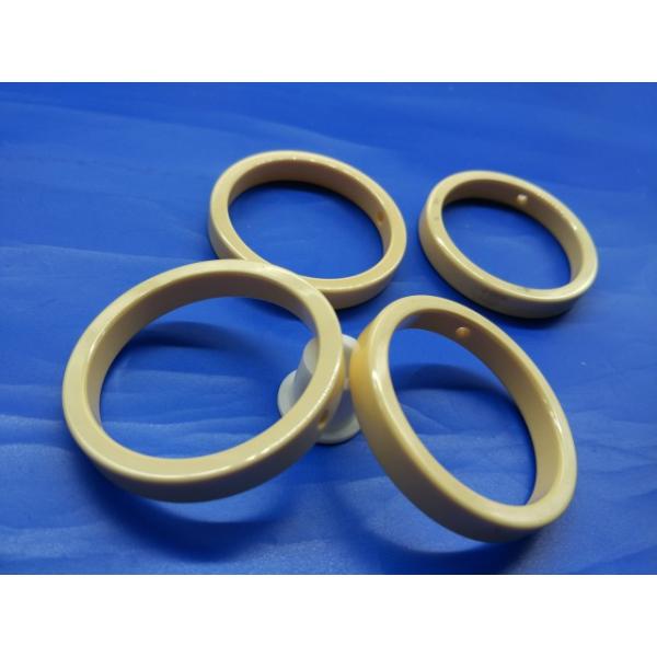 High Purity Alumina Ceramic Seal Rings for Semiconductor or Vehicles