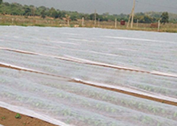300gsm Agriculture Non Woven Fabric ISO9001 For Gardening